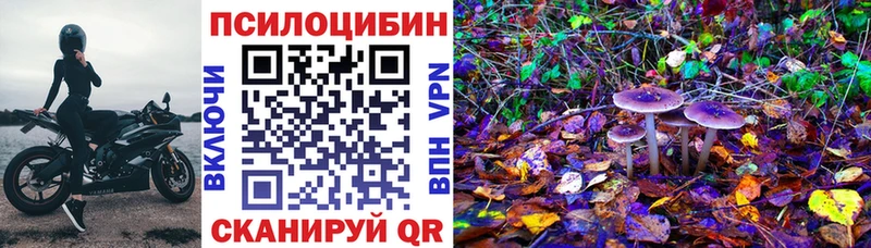 где можно купить наркотик  Олёкминск  Галлюциногенные грибы мицелий 